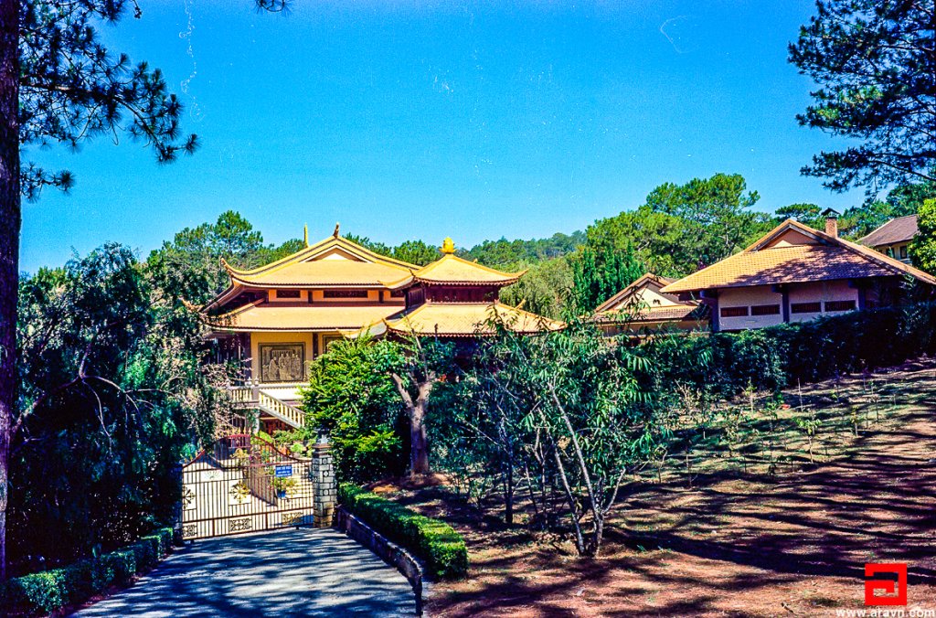 Scan-140319-0003.JPG