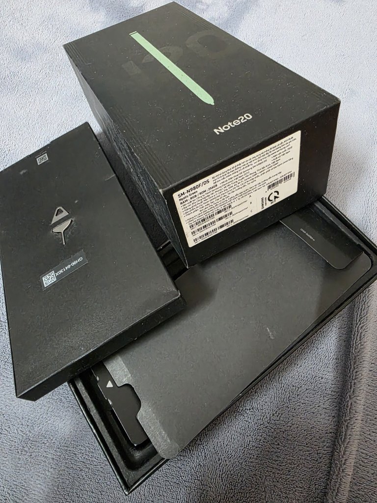 4547.jpg