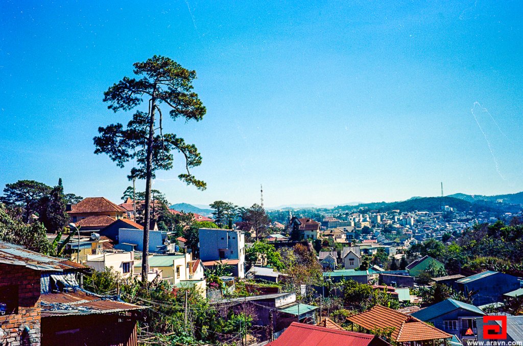 Scan-140319-0005.JPG