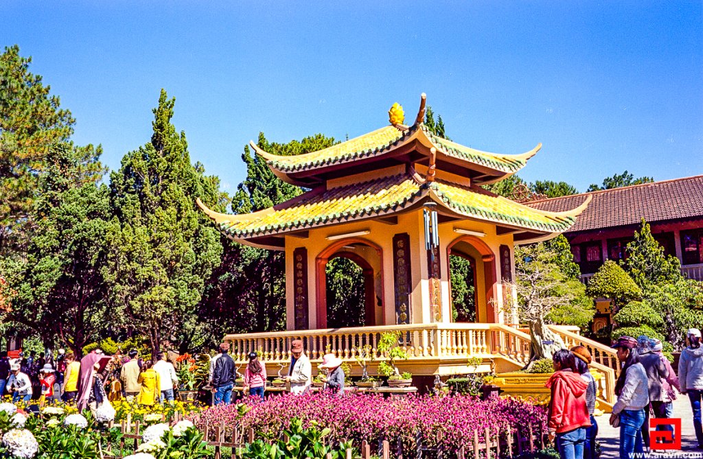 Scan-140319-0008.JPG