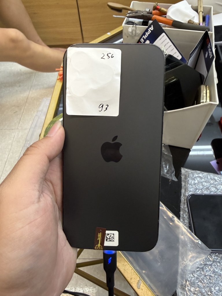 IMG_0386.jpeg