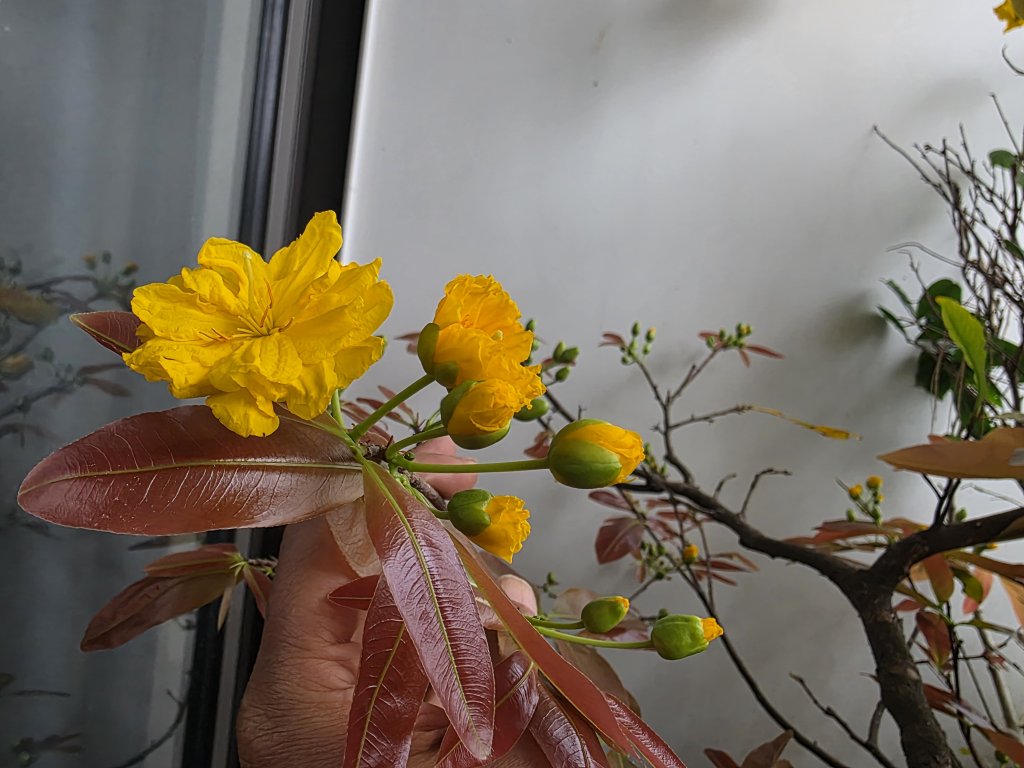 20260305_093149.jpg