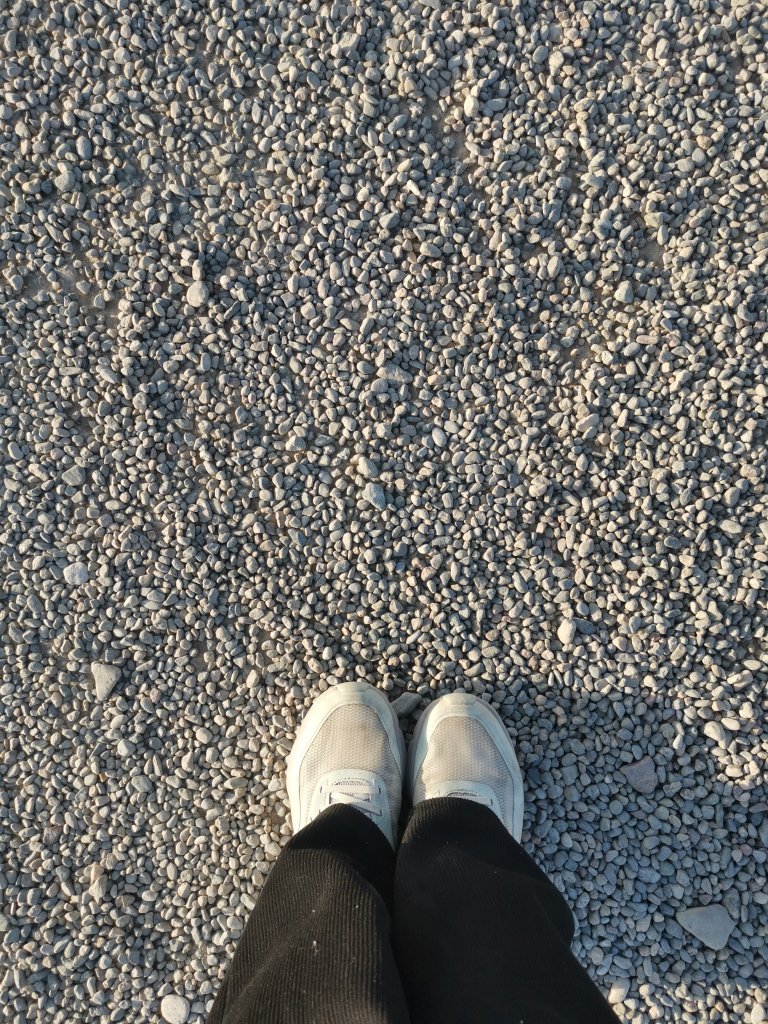 IMG_20251021_174029.jpg