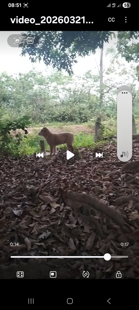 Screenshot_20260321_085107_Video Player.jpg