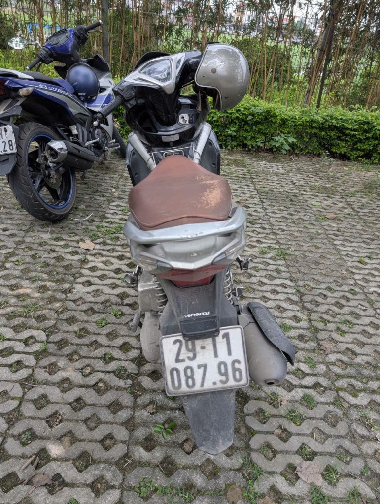81.jpg