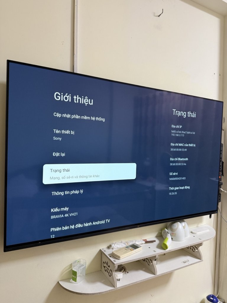 IMG_9853 2 lớn.jpeg