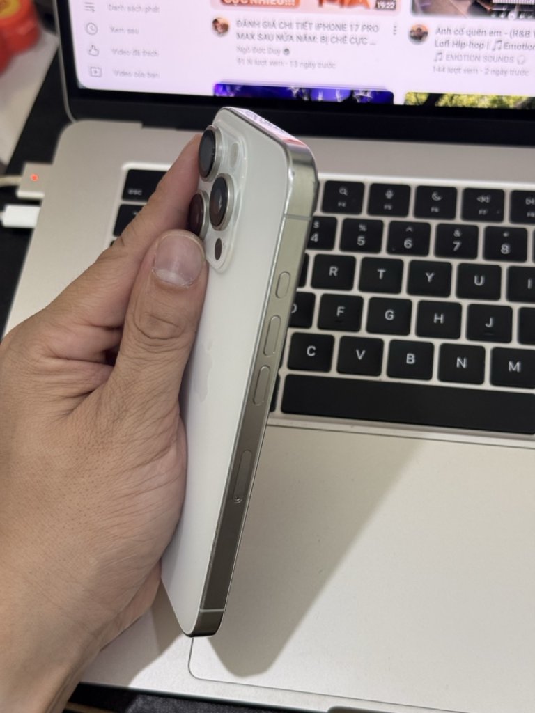 IMG_0009 2 lớn.jpeg