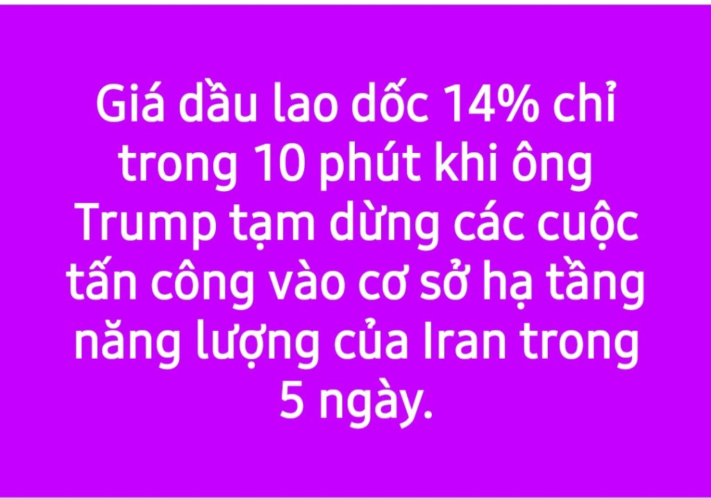 1000035245.jpg