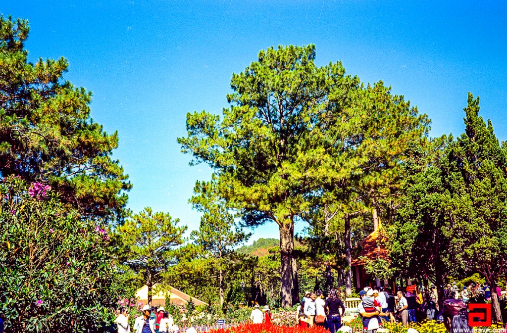 Scan-140319-0009.JPG