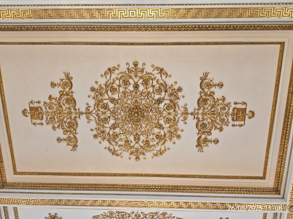 IMG_20250826_110829.jpg