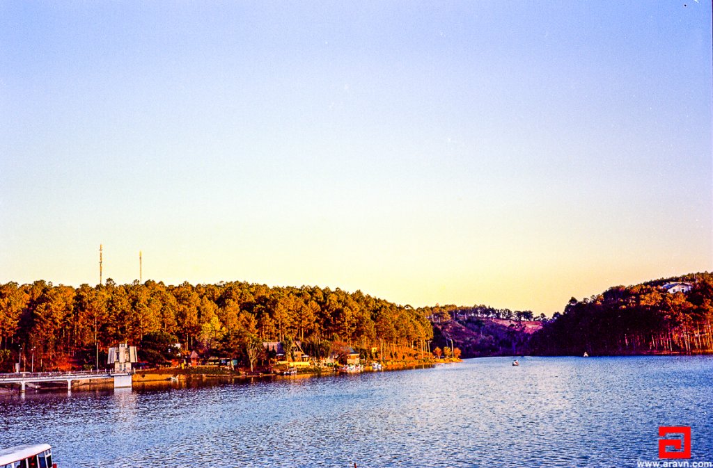 Scan-140319-0011.JPG
