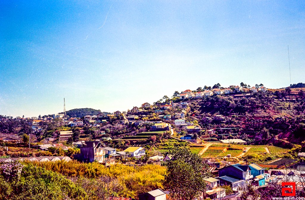 Scan-140319-0014.JPG