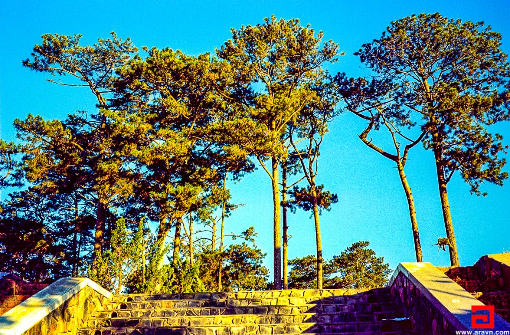 Scan-140319-0018.JPG