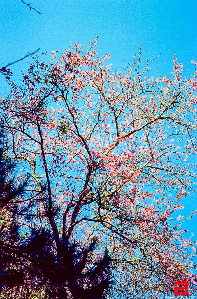 Scan-140319-0032.JPG