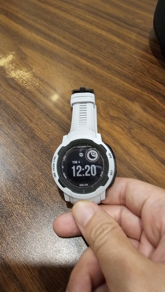 4586.jpg