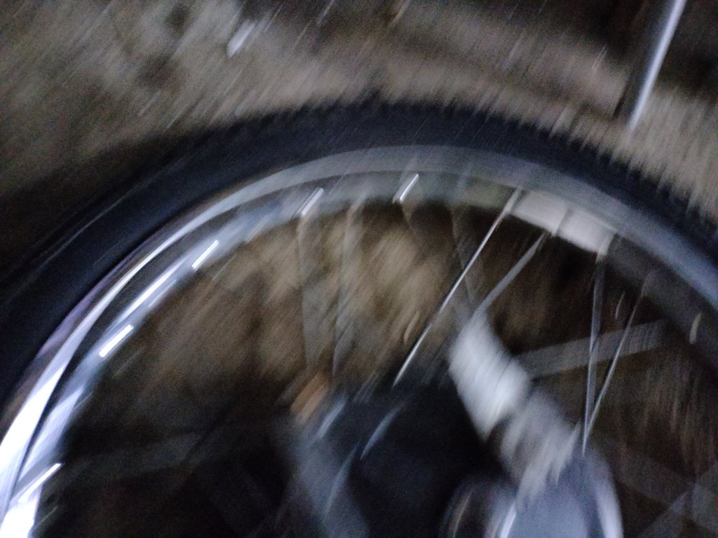 1000008773.jpg