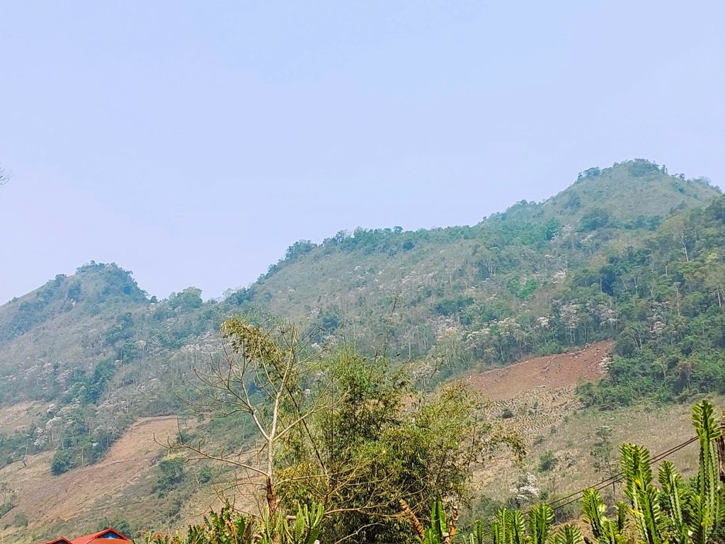 52f05fbc0b01855fdc10.jpg