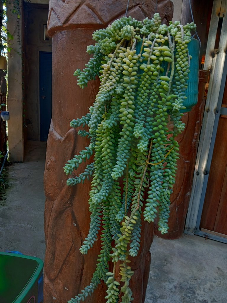 1000009818.jpg