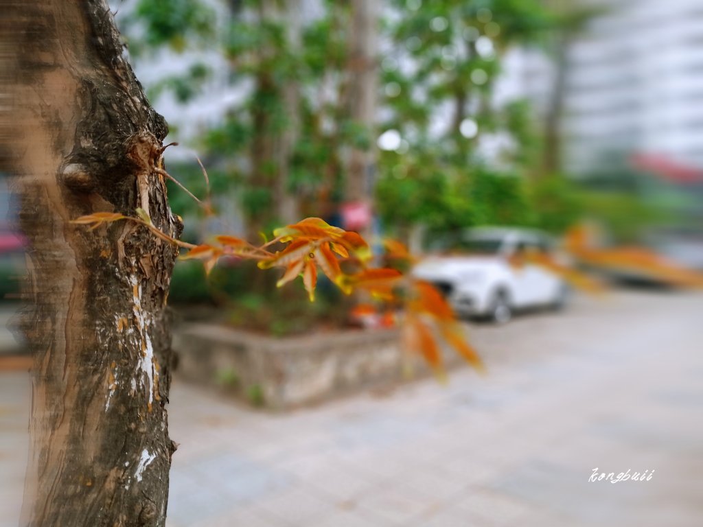 MEITU_20260328_112844017.jpg