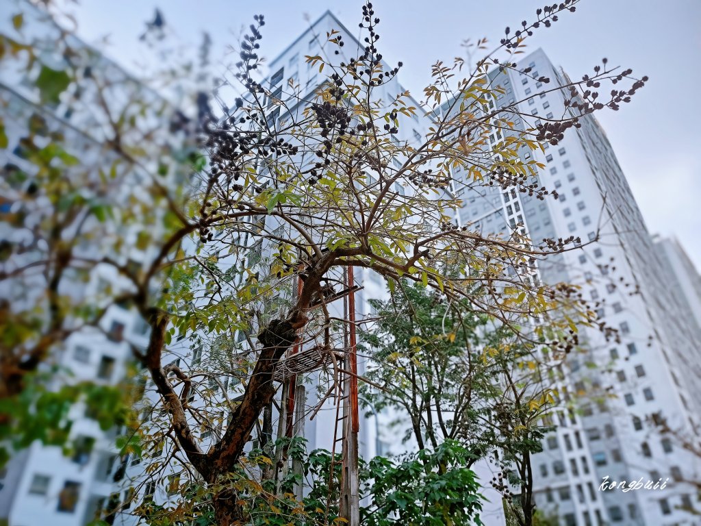 MEITU_20260328_115918225.jpg