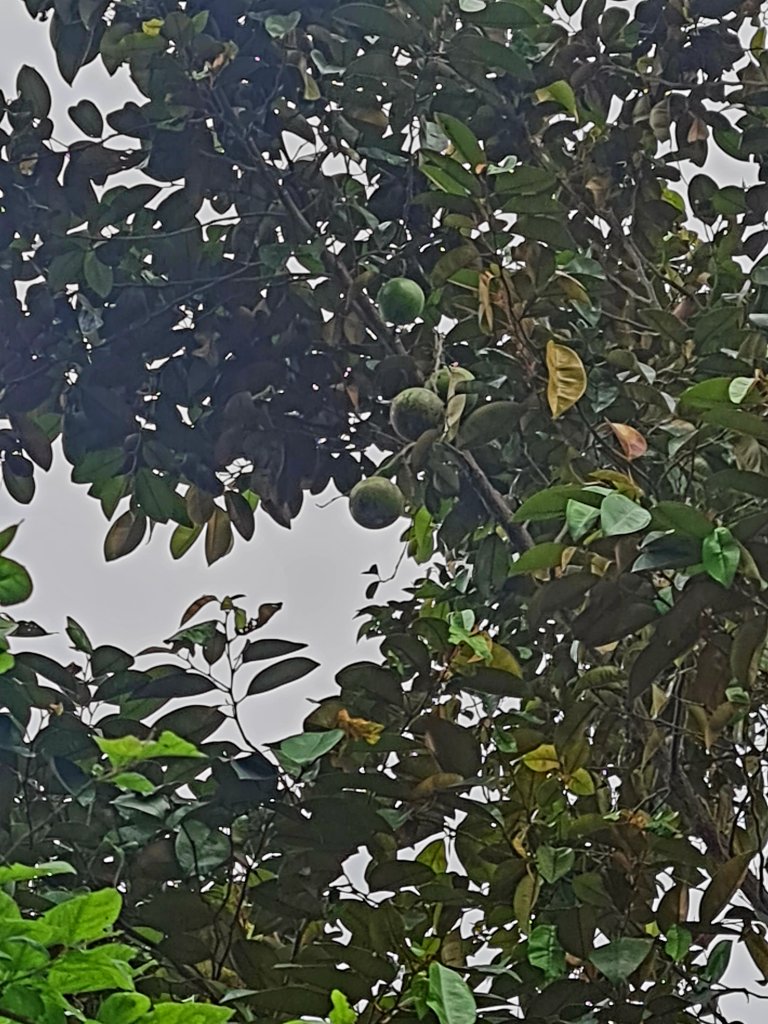 20260328_172439.jpg