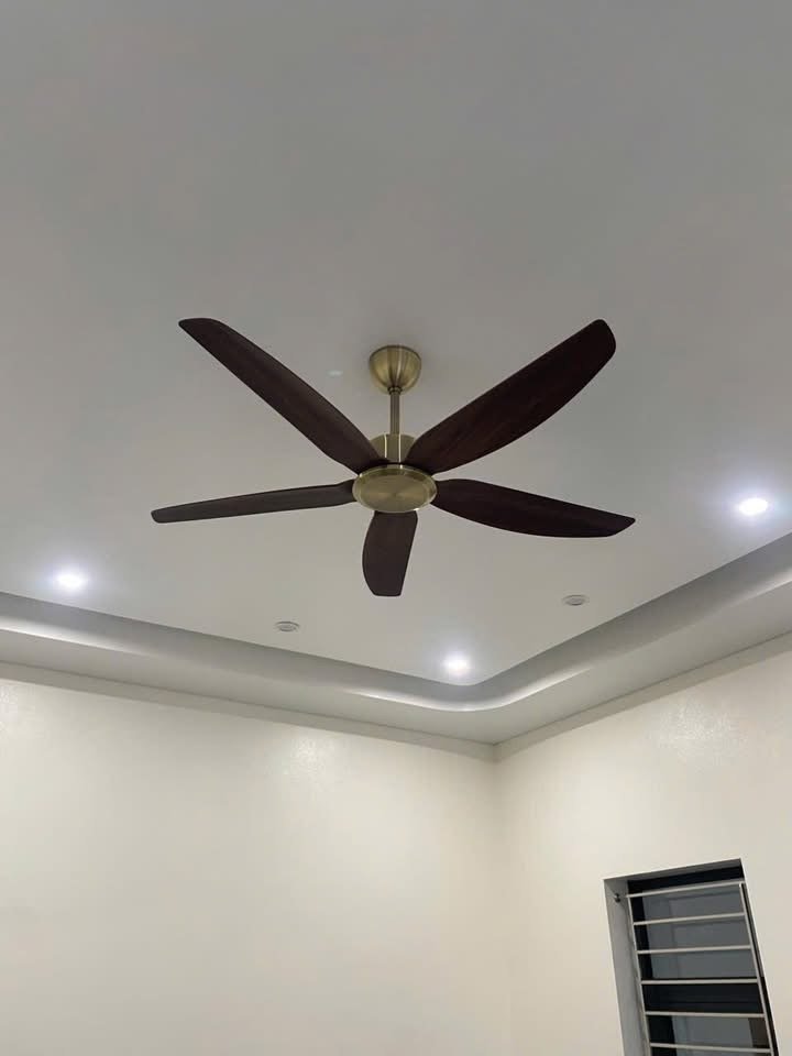 IMG_1065.jpeg