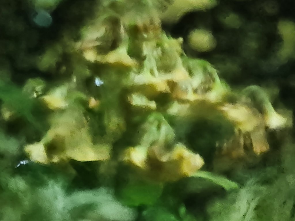 20260330_051653.jpg