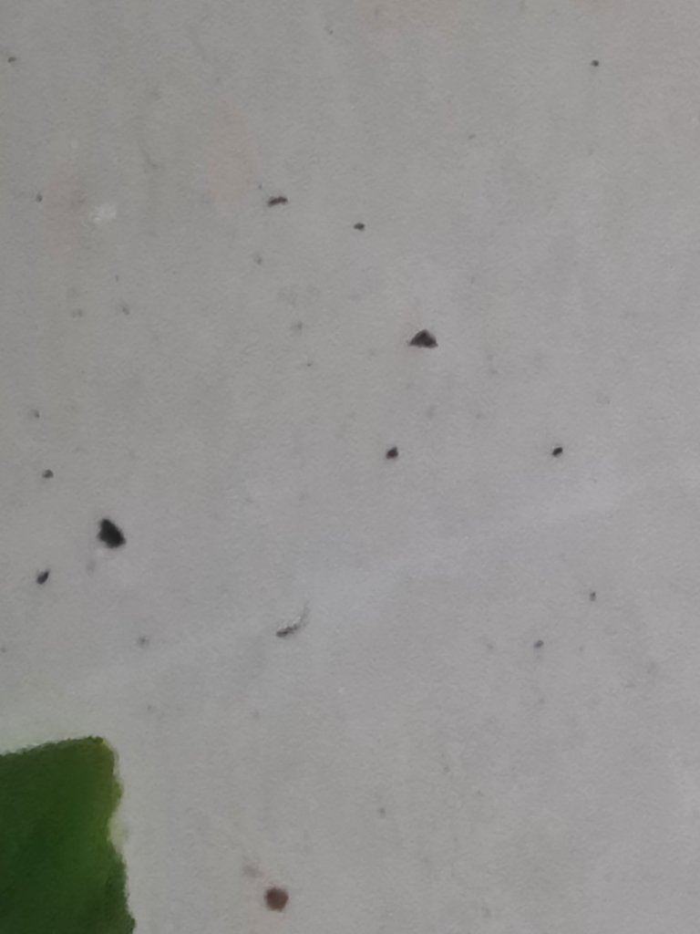 20260330_051638.jpg