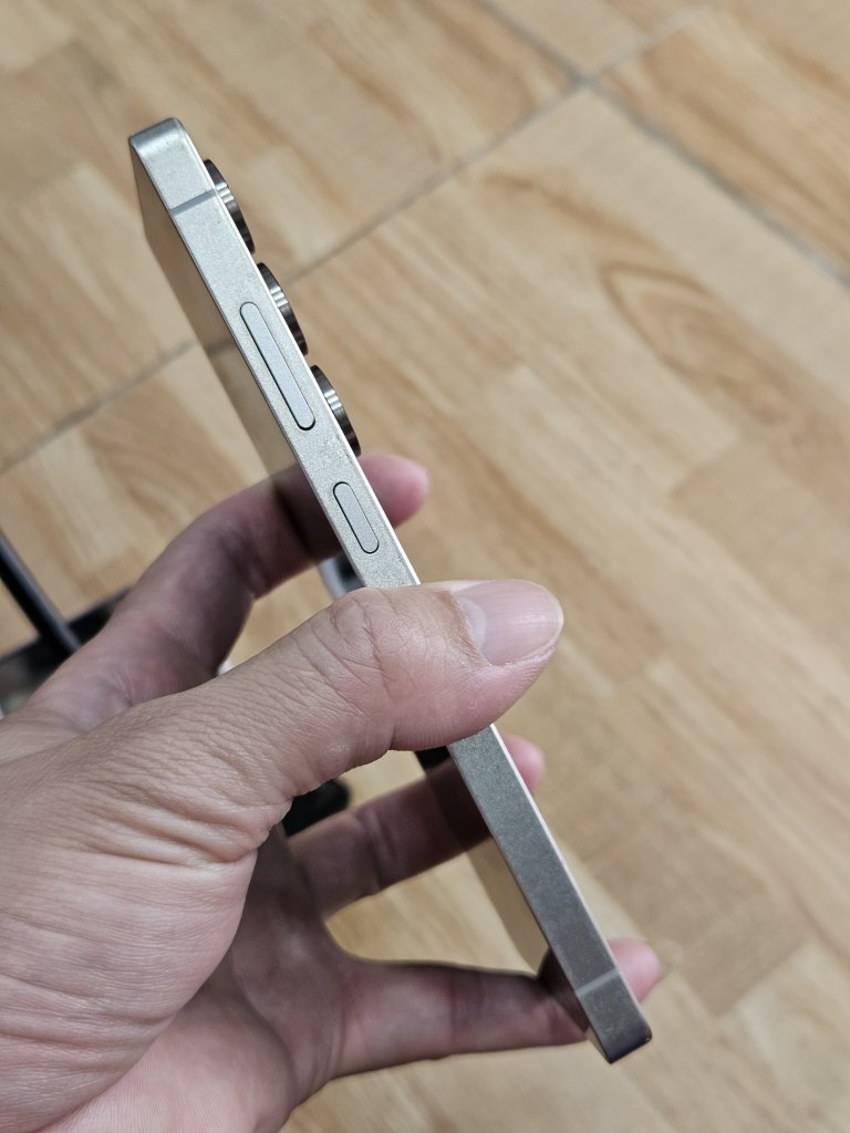 29595.jpg