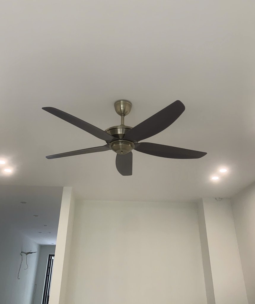 IMG_7725.jpeg