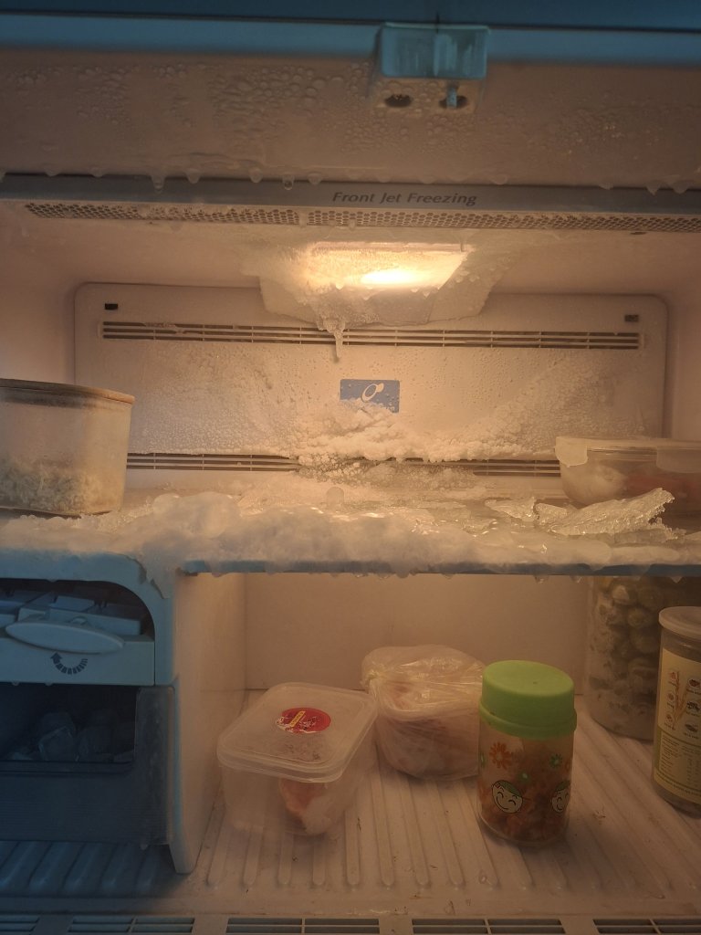 3009.jpg