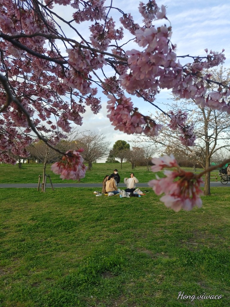 20230320_170215_HDR.jpg