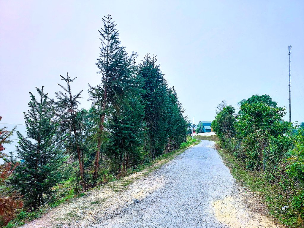 e7c29f06d540541e0d51.jpg