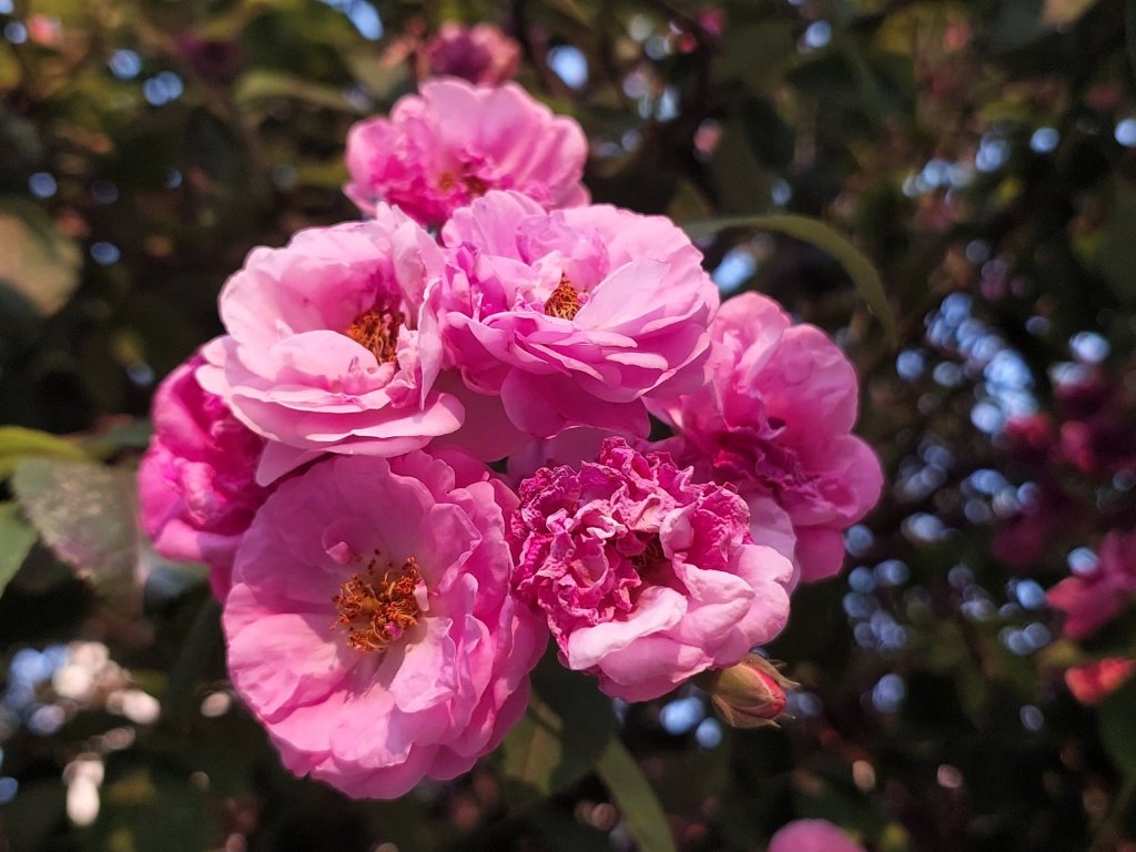 c29f74631025917bc834.jpg