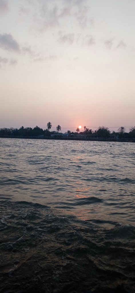 IMG20260308062142.jpg
