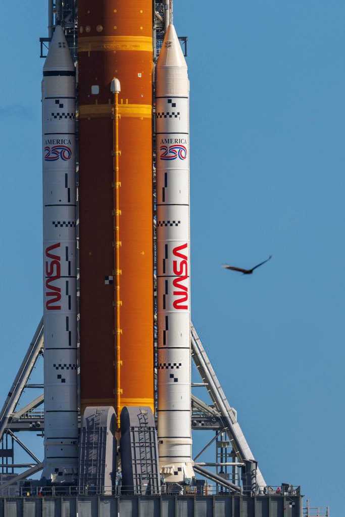 Space 2026_3_20 (9).jpg