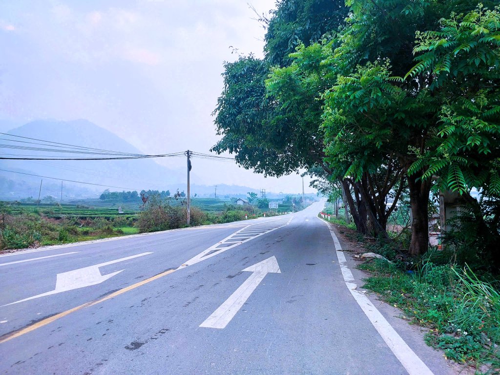 c8dde648260ba755fe1a.jpg