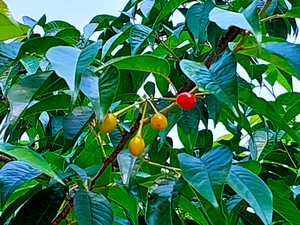 c605292b5169d0378978.jpg