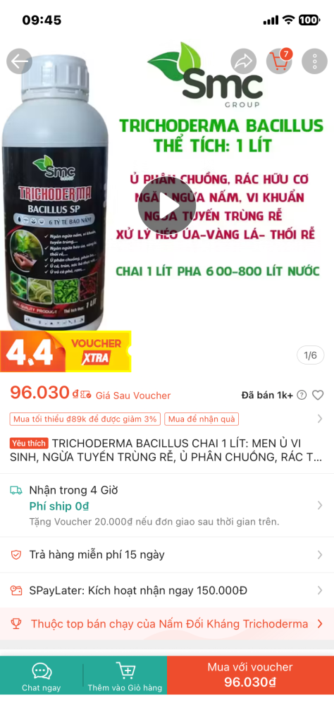 IMG_6602.png