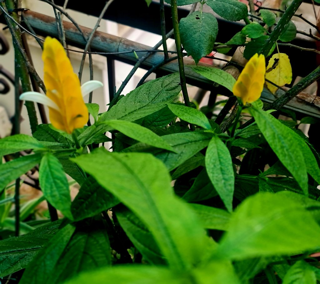 20260402_074041.jpg