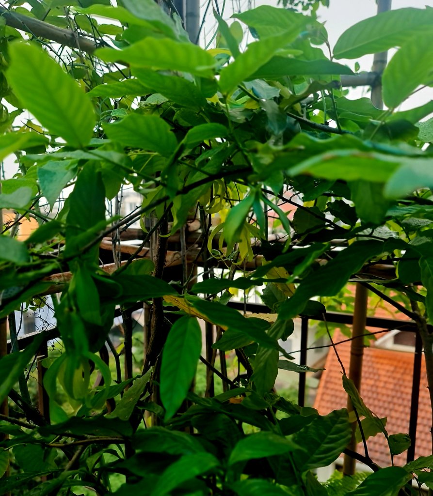 20260402_074055.jpg