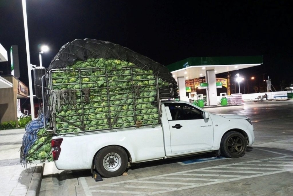 1000013428.jpg