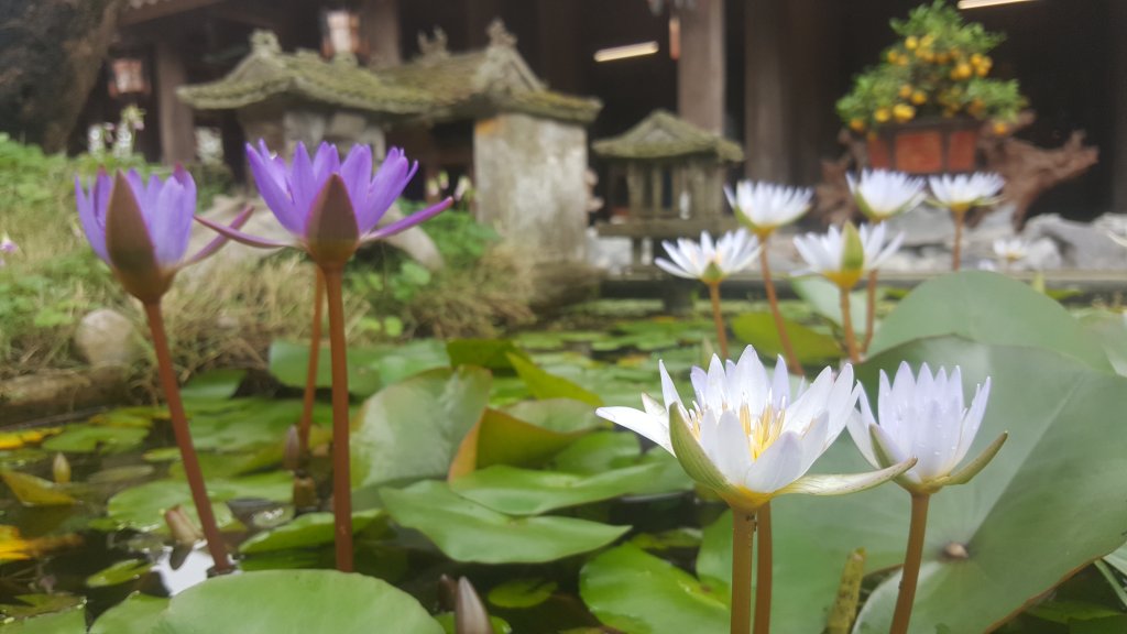 20180301_102529.jpg