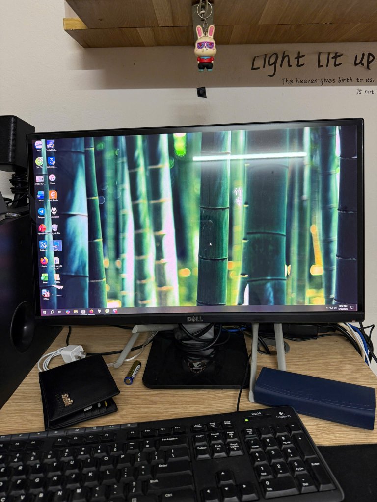 z7686664747856_7123577be216f6b6b9c655ea08650825.jpg