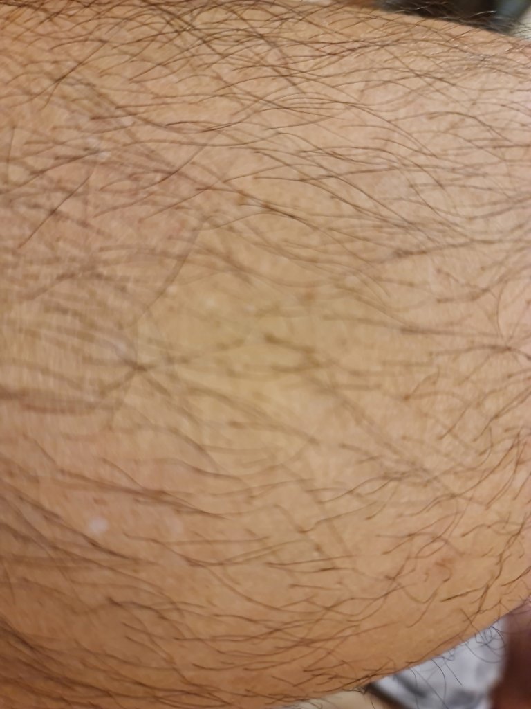 20260404_070045.jpg