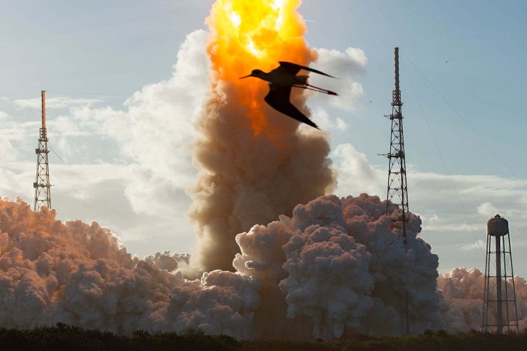 Space 2026_4_1 (10).jpg