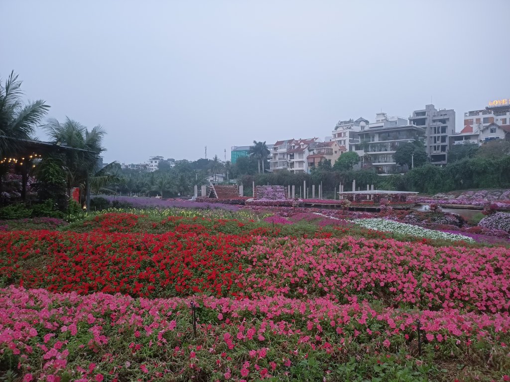 IMG20260405180151.jpg