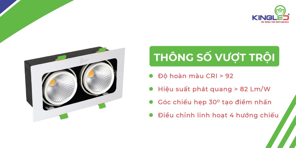 den-led-spotlight-roi-doi.jpg