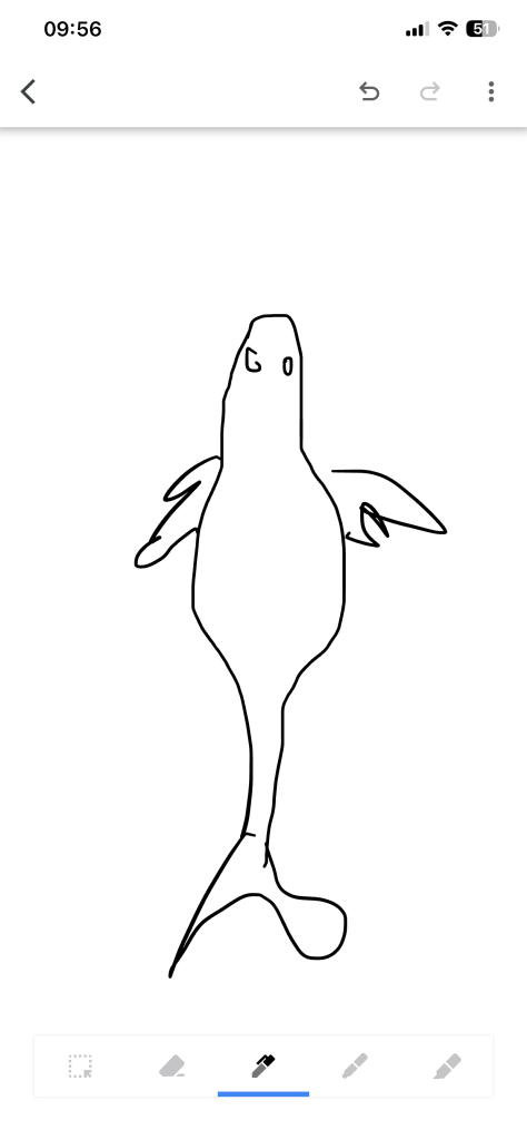 IMG_0081.png