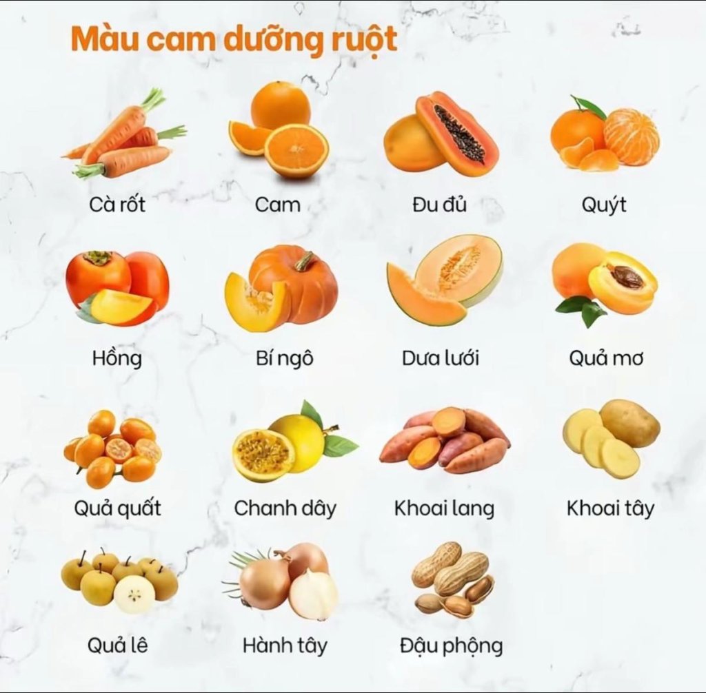 phimtat.vn_Đen bổ thận Đỏ bổ tâm Xanh bổ gan Vàng bổ tỳ Trắng bổ phế #trilieuquan2 #duongsinh...jpeg